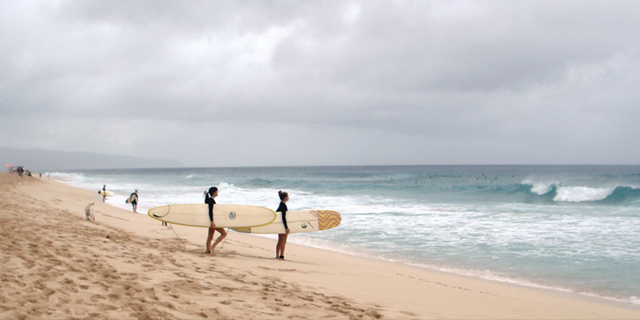 Surf